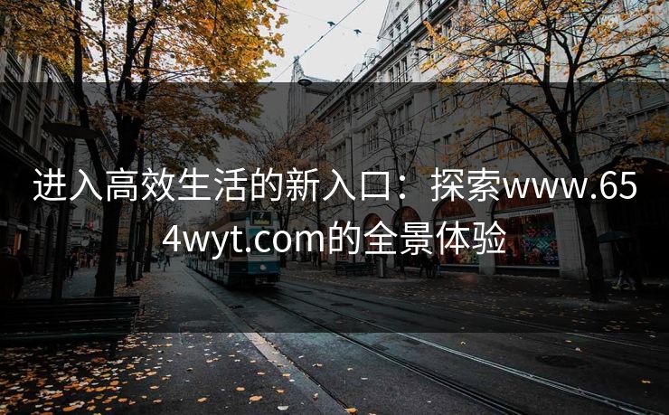 进入高效生活的新入口：探索www.654wyt.com的全景体验