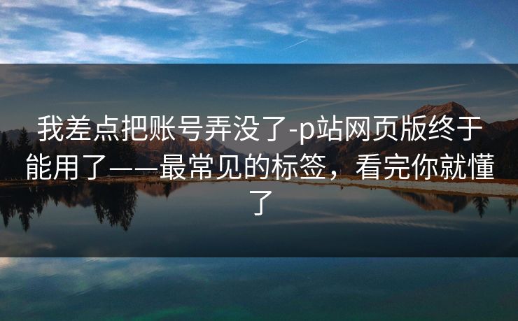 我差点把账号弄没了-p站网页版终于能用了——最常见的标签,看完你就懂了 我差点把账号弄没了-p站网页版终于能用了——最常见的标签,看完你就懂了