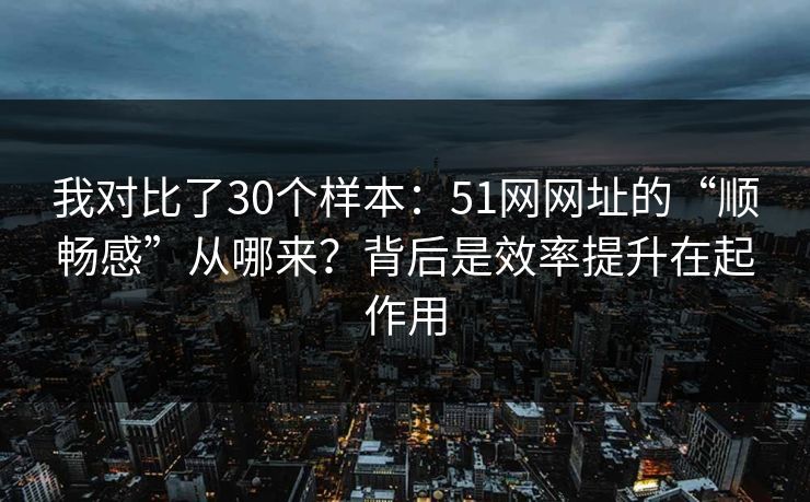 我对比了30个样本:51网网址的“顺畅感”从哪来?背后是效率提升在起作用